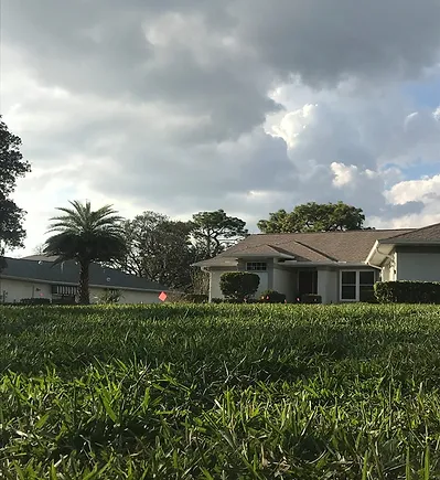 Sugarmill_Woods_total_lawn_renovation