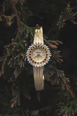 estate watch