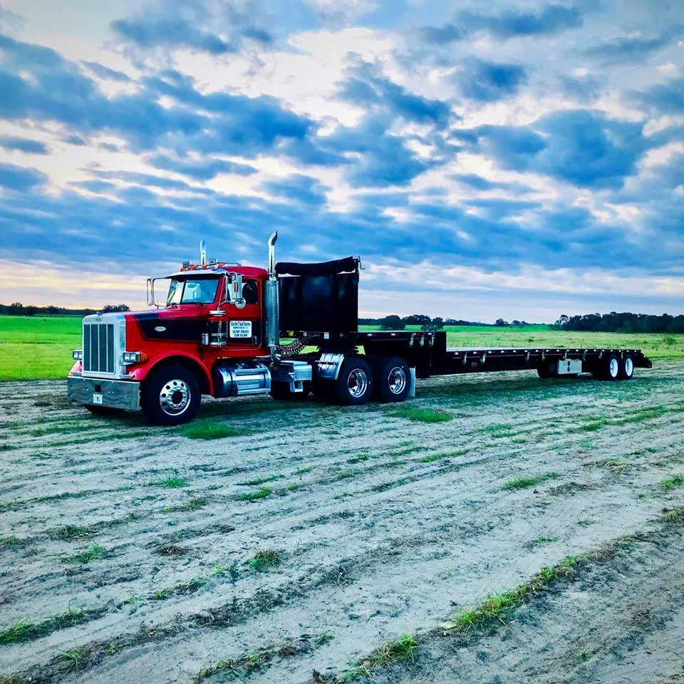 commercial sod farms florida
