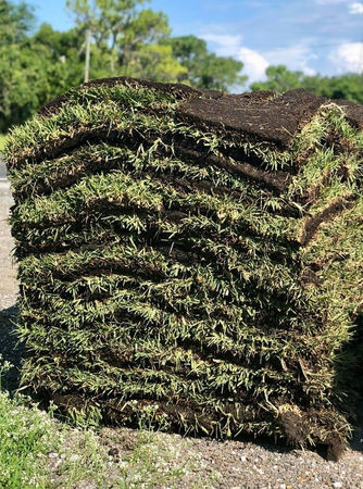 St.Augustine pallet up close 2