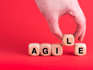 The Role of APIs in Building Agile Enterprise Software Ecosystems