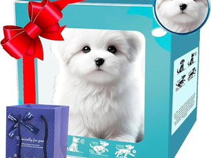 Toy white puppy in a turquoise gift box with a red bow, beside a purple gift bag. The box has playful dog illustrations.