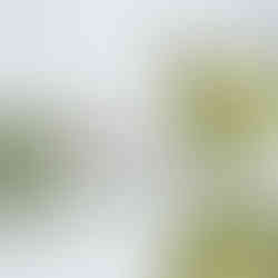 Taze veya kuru kekik ile hazırlanmış çay.