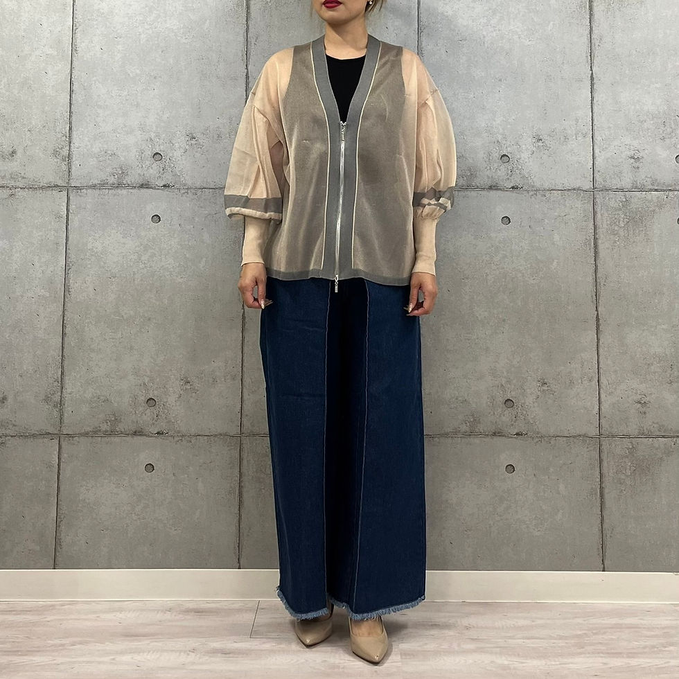 サムネイル： 8508006　Transparent　Sheer V CD
