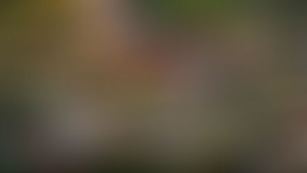 Tailândia à luz do dia: 5 experiências que vão fazer qualquer um querer marcar voo imediatamente!