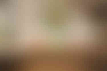 Matcha Bio: a estrela verde do Continente