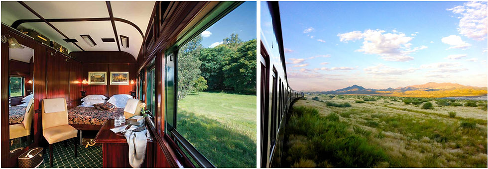 Cabine luxuosa de trem com cama e poltronas, janelas grandes mostram paisagem verde. Outro lado mostra trem em movimento na savana.