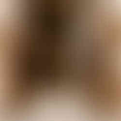 Lisboa Chiado Hotel SPA