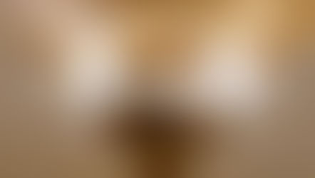 Onde celebrar o São Martinho