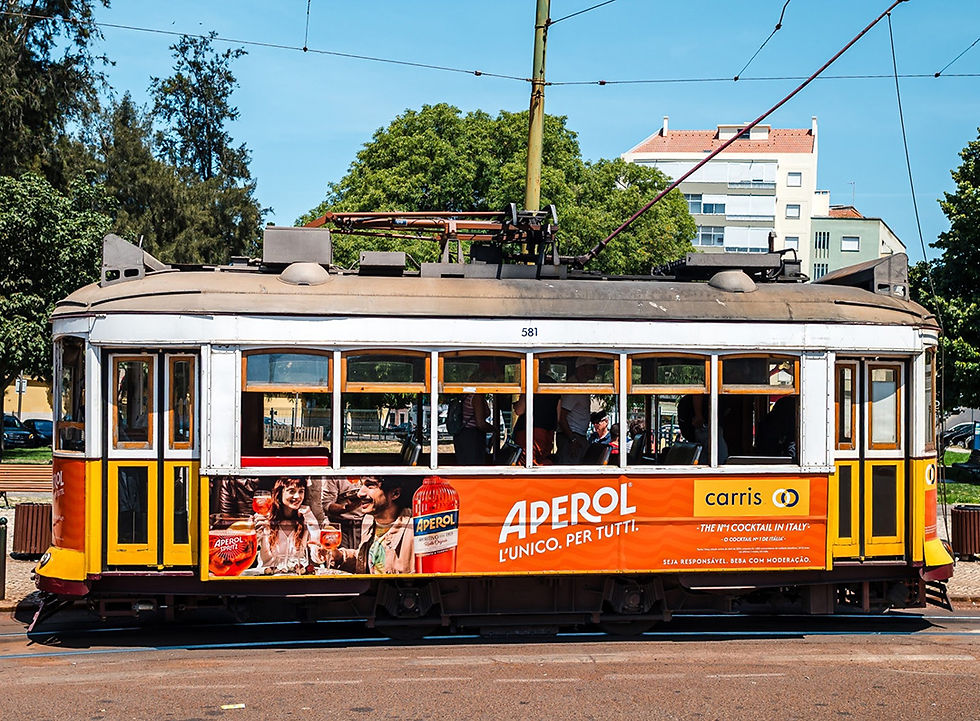 Gastronomia, festivais e cultura dão mais vida ao seu verão