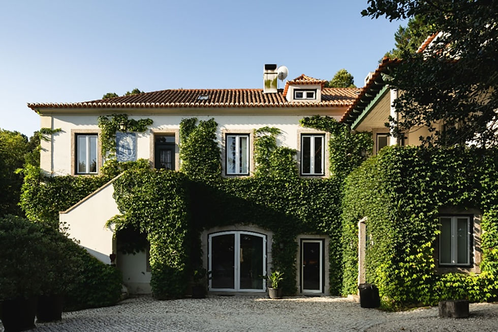 Quinta Velha