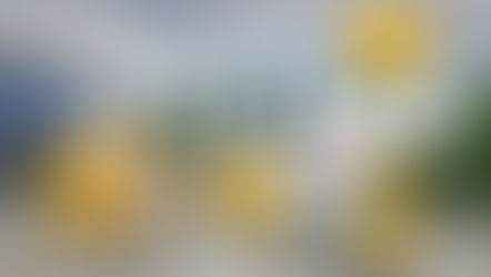 BIODERMA anda pelas praias a ajudar a detetar precocemente o cancro da pele!