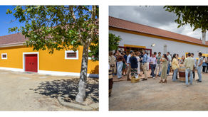 Novidades, prémios e experiências: Um verão para brindar aos vinhos portugueses