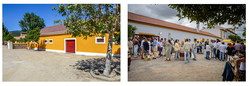 Novidades, prémios e experiências: Um verão para brindar aos vinhos portugueses