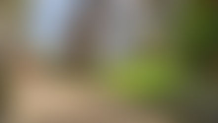 Sabia que pode dormir no local onde os Beatles começaram a sua carreira?