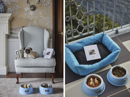 Hotéis de luxo em Portugal em que os seus animais são bem recebidos!