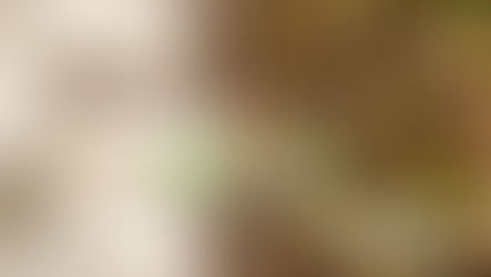 Novidades cheias de sabor! 