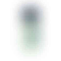 Quem Disse, Berenice? celebra a magia de Harry Potter