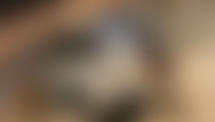 Um lanche com o Dr. Bruno: A celebração de vinho onde não faltou a animação!