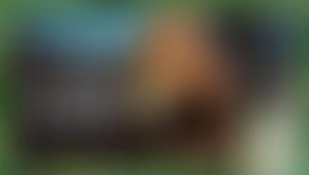 Não perca o concerto de Camila Cabello em Lisboa na companhia de um rum Bacardí!