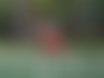 Mantenha o corpo ativo e a prática desportiva ao longo do ano 