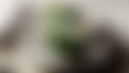 Black Moon: O novo gastrobar sofisticado, intimista e provocante de Lisboa