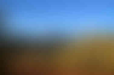 Douro Boys e Luxury Tours Portugal