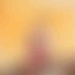 Havaianas Top High Chunky Boho