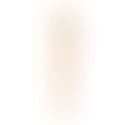 Armani Beauty apresenta Skin Tint