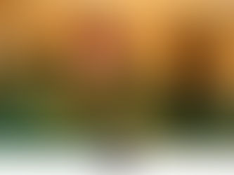 Dia da Mãe: Celebrar quem cuida de nós todos os dias!