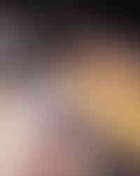 Douro Boys e Luxury Tours Portugal