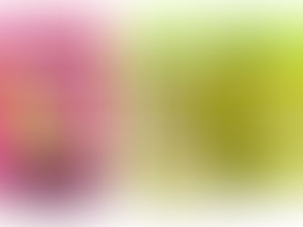 Potes de creme Novex: um rosa, Gelato Cereja, e dois verdes, Gelato Pistache, com descrições de uso. Estão sobre fundo branco.