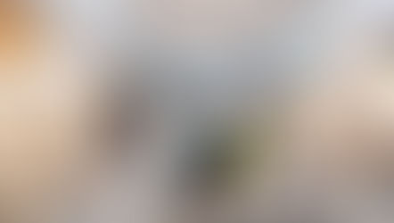 Os mais pequenos já podem ser técnicos de reparação de smartphones na KidZania com a ajuda da iServices