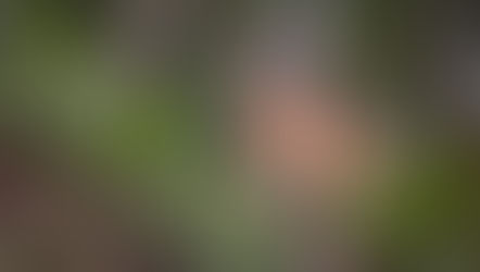 O que fazer em Portugal: Experiências culturais a não perder em março