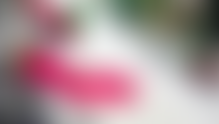 Casa leve e funcional para receber a primavera 