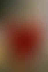 Capítulo Restaurant & Bar