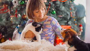 Adotar um animal nesta quadra é uma decisão séria e a longo prazo! Toda a família deve estar envolvida!