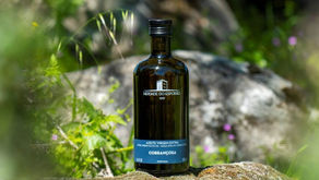 Descubra os produtos essenciais para ter sempre em casa