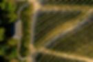 Valverde Santar Hotel & Spa (Santar)