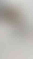 elegância minimalista