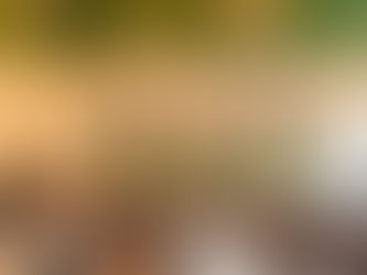 Restaurantes diferentes que oferecem experiências que devem ser bem saboreadas!