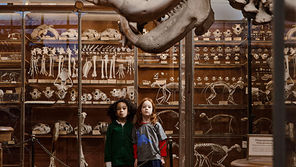 Novidades do mundo infantil: Produtos que acompanham o crescimento das crianças