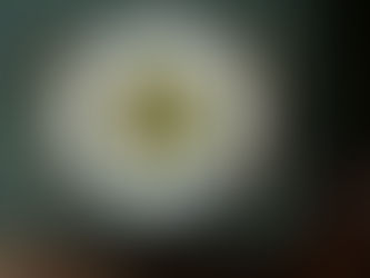 La Brasserie de L’Entrecôte lançou um menu executivo e cinco iguarias francesas... que fomos provar (e adorámos!)