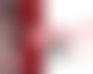 2025 & 2026 FASHION TRENDHAIR ACCESSORIES COLLECTION