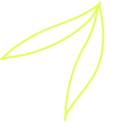 9.png