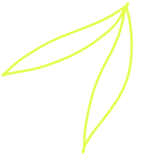 9.png