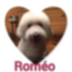 Romeo groomed