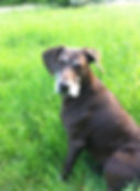 Ria