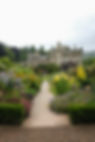 DSCF9807.jpg