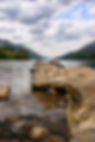DSCF6546.jpg